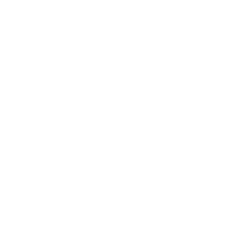Logo: NEXEN Tires