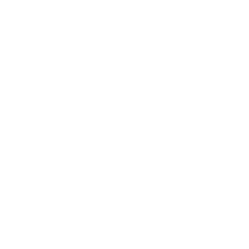 Logo: Ironman Tires