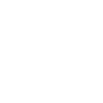 Logo: Nitto Tires