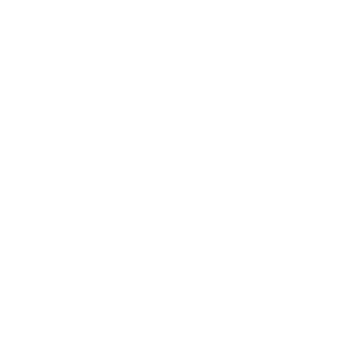 Logo: Toyo Tires